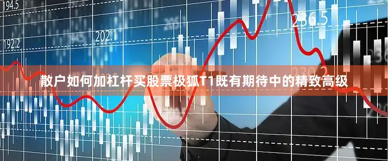 散户如何加杠杆买股票极狐T1既有期待中的精致高级